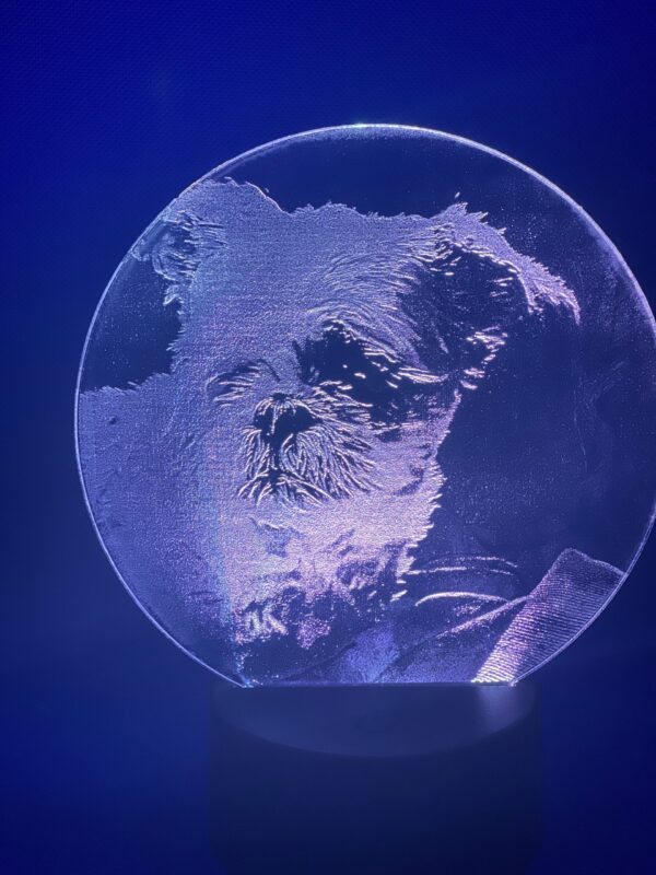 Plexiglas met foto en/of tekst - Afbeelding 2